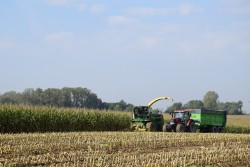 Zbir kukurydzy